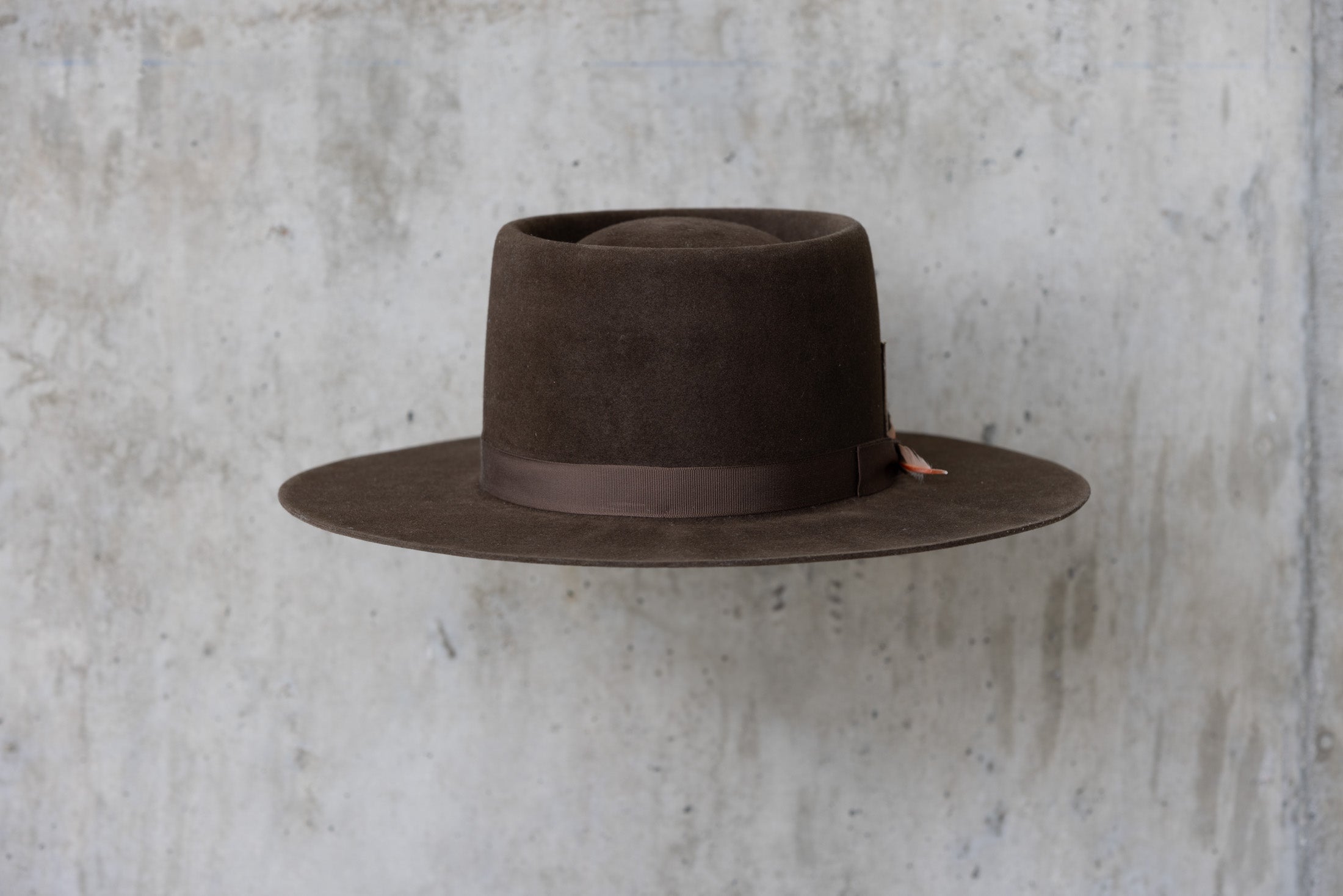 A dark brown felt Western cowboy hat with a telescope crown and a flat brim and feather for men and women back